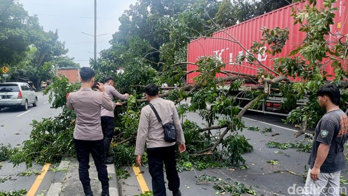 Truk Trailer Nyangkut Pohon di Jalan Trosobo Sidoarjo