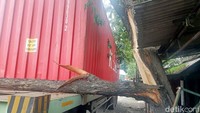 Truk trailer bernopol L-8428-YO yang dikemudikan Suyoto (43), warga Surabaya, diduga menyenggol ranting pohon besar hingga akhirnya tersangkut dan membuat ranting tersebut roboh.