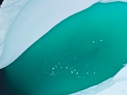 Antartika Terlihat Menghijau dari Luar Angkasa, Pertanda Apa?