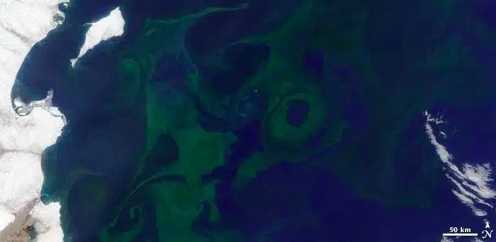 Antartika menghijau Antartika menghijau