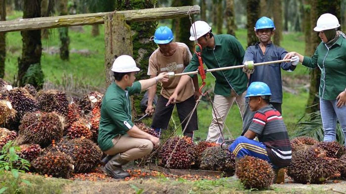 Astra Agro Lestari