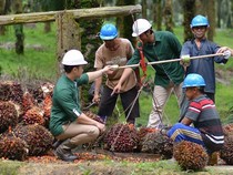 Astra Agro Lestari Pastikan Dukung Pembangunan Berkelanjutan