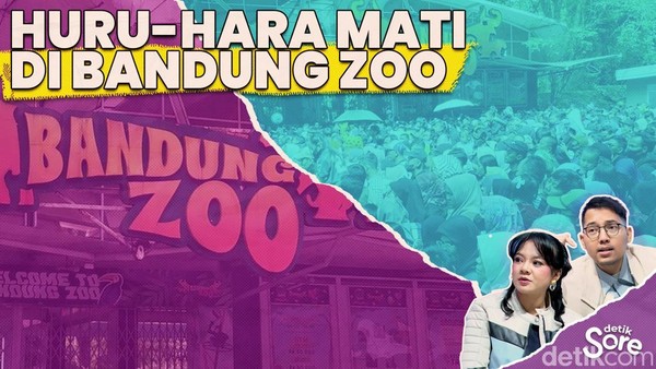 Video: Virus Panleukopenia Jadi Penyebab Kematian Huru dan Hara di Bandung Zoo