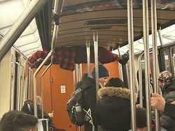 Foto Tingkah Penumpang Kereta AS Ini Bikin Anak KRL RI Auto Tepok Jidat