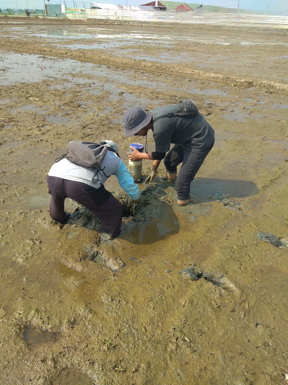 Kementerian Pertanian (Kementan) mendorong petani mulai mengadopsi teknologi hemat air untuk menghadapi ancaman musim kemarau yang semakin tidak menentu, termasuk potensi El Nino “Godzila” yang diprediksi BRIN beberapa waktu lalu. (Dok. Humas Kementan)