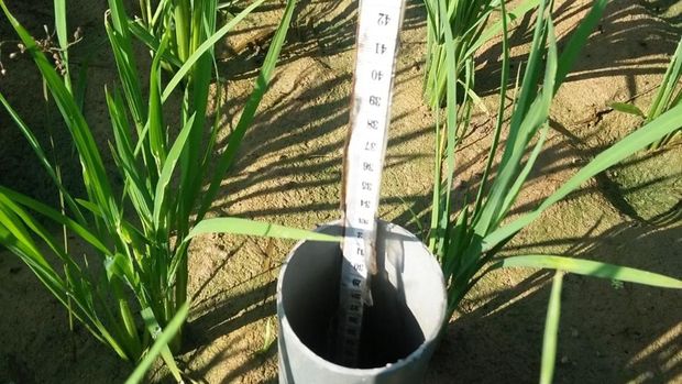 Kementerian Pertanian (Kementan) mendorong petani mulai mengadopsi teknologi hemat air untuk menghadapi ancaman musim kemarau yang semakin tidak menentu, termasuk potensi El Nino “Godzila” yang diprediksi BRIN beberapa waktu lalu. (Dok. Humas Kementan)