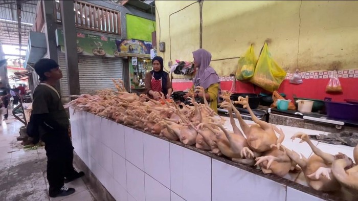Penjual ayam di Pasar Sidoharjo Lamongan