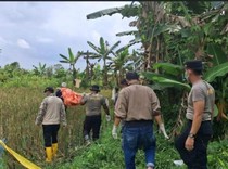 Mayat Mrs X Ditemukan di Pinggir Sawah Banyuasin, Diduga ODGJ
