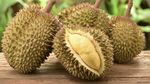 10 Makanan Ini Peredarannya Dilarang di Dunia, Ada Mie Instan hingga Jeli!