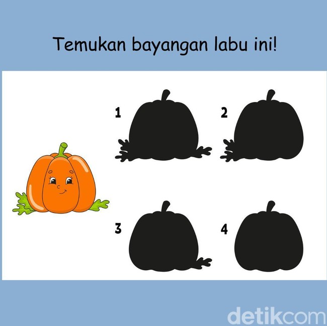 Tes Konsentrasi dan Fokus, Bisakah Menemukan Bayangan yang Sesuai?