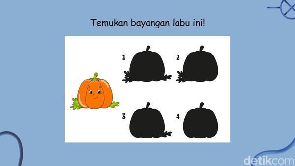 Tes Konsentrasi dan Fokus, Bisakah Menemukan Bayangan yang Sesuai?