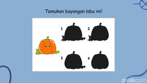 Tes Konsentrasi dan Fokus, Bisakah Menemukan Bayangan yang Sesuai?