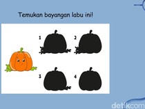 Tes Konsentrasi dan Fokus, Bisakah Menemukan Bayangan yang Sesuai?