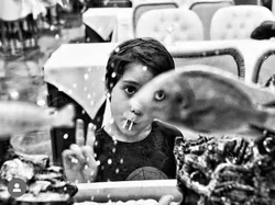 Timing-nya Gila! Foto Ini Diambil di Detik Sempurna