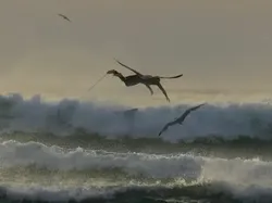 Timing-nya Gila! Foto Ini Diambil di Detik Sempurna
