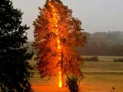 Timing-nya Gila! Foto Ini Diambil di Detik Sempurna