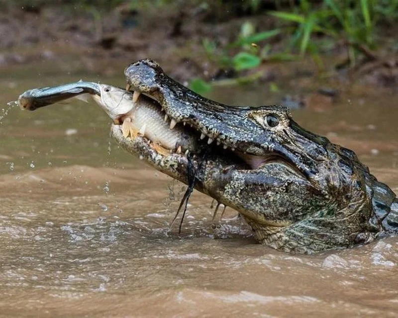 Foto-Foto Ini Diambil di Waktu yang Tepat