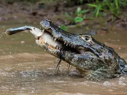 Timing-nya Gila! Foto Ini Diambil di Detik Sempurna