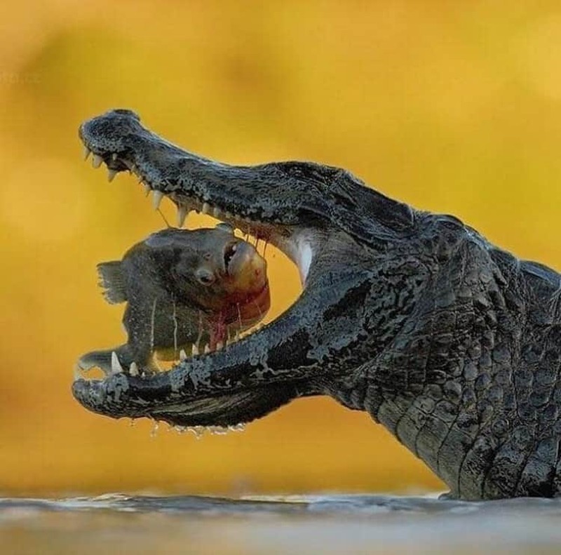 Foto-Foto Ini Diambil di Waktu yang Tepat