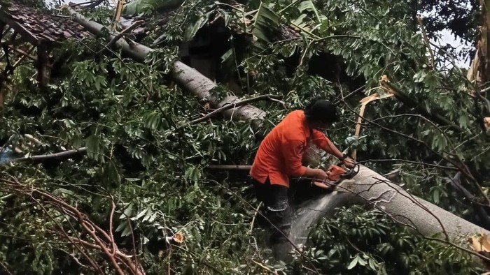 Kondisi rumah di Jatigede, Sumedang, yang mengalami kerusakan akibat pohon tumbang.