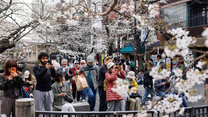Tourists from abroad wearing kimonos pose for a souvenir photo with cherry blossoms in Kyoto, Japan, March 28, 2026. REUTERS/Manami Yamada