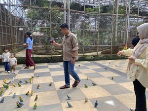 Libur Lebaran, Wisata Edukasi Burung di Palembang Ramai Dikunjungi