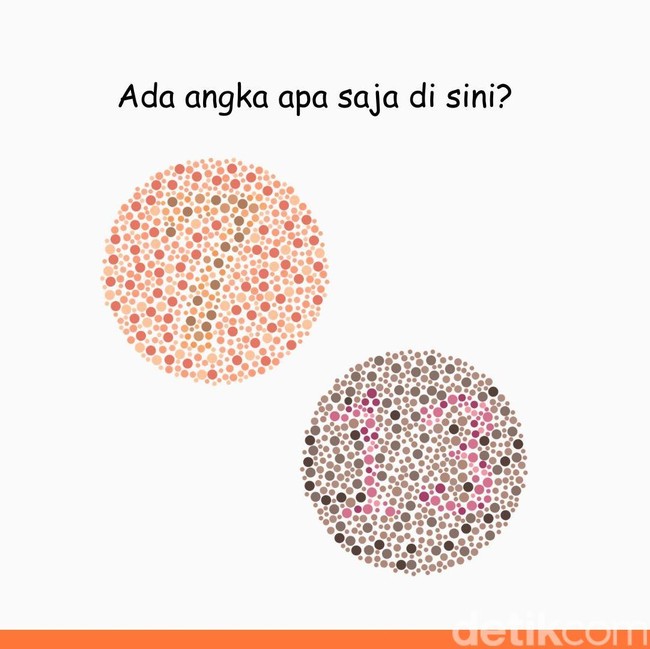 Harusnya Gampang Kalau Tak Buta Warna, Angka Berapa Saja yang Tersembunyi?