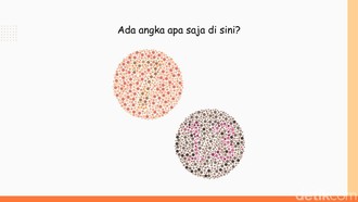 Harusnya Gampang Kalau Tak Buta Warna, Angka Berapa Saja yang 'Tersembunyi'?