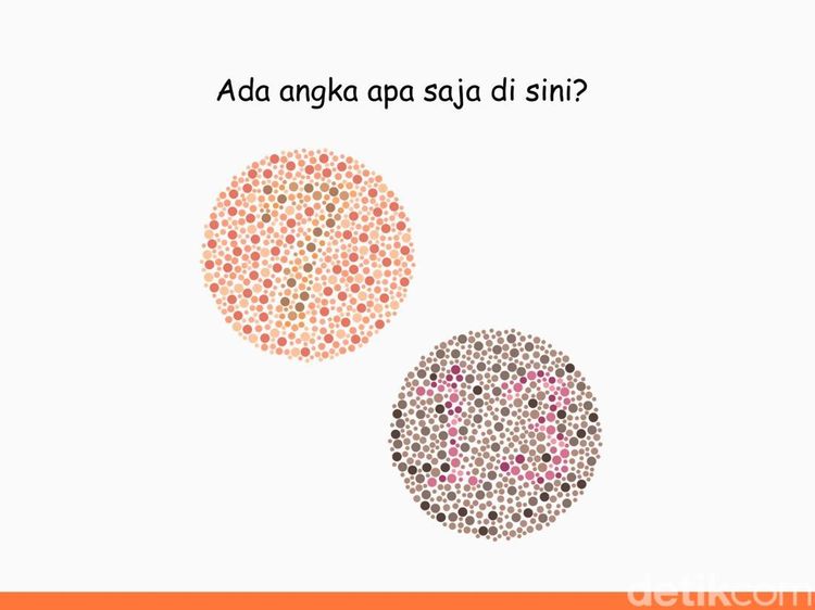 Harusnya Gampang Kalau Tak Buta Warna, Angka Berapa Saja yang Tersembunyi?
