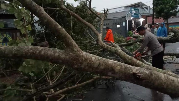 Becanda longsor dan pohon tumbang di Kuningan