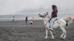 Bromo Jadi Favorit! Puluhan Ribu Wisatawan Padati TNBTS Saat Lebaran