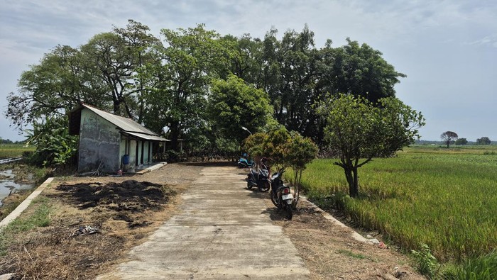 Makam Kemangi Jungsemi Kendal