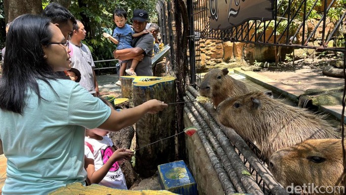 Suasana puncak pengunjung di hari terakhir libur Lebaran