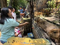 Puncak Libur Lebaran, KBS Diprediksi Dipadati 30 Ribu Pengunjung Hari Ini