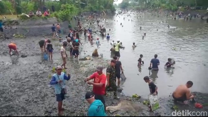 Warga mencari ikan di Dam yang dikeringkan