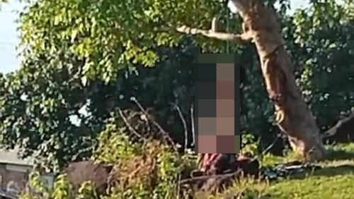 Seorang pria tergantung di sebuah pohon di wilayah di Gunung Pedau Dusun Ebangah Desa Sengkol, Kecamatan Pujut, Kabupaten Lombok Tengah. Foto: (Kasi Humas Polres Lombok Tengah)