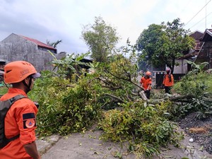Ngerinya Angin Puting Beliung di Kudus Rusak 221 Rumah Warga
