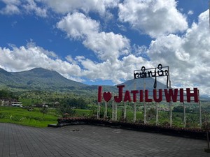 Viral Pemotor Diminta Putar Balik di Jatiluwih, Pengelola Singgung Etika