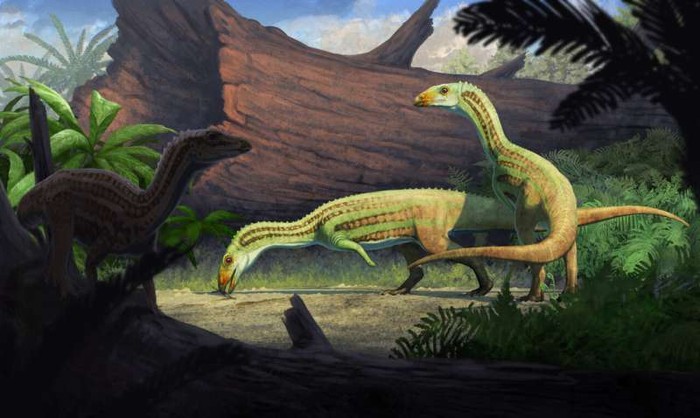 Ilustrasi nenek moyang buaya purba, Sonselasuchus cedrus, di lingkungannya di tempat yang sekarang menjadi Taman Nasional Hutan Petrified, 215 juta tahun yang lalu.