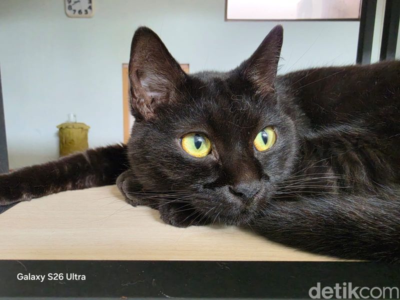 Kamera Galaxy S26 Ultra Kamera Galaxy S26 Ultra