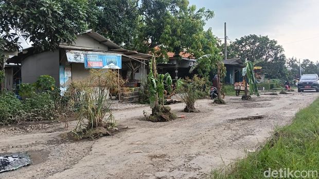 Kondisi jalan Desa Gadingan, Kecamatan Sliyeg, Kabupaten Indramayu, yang dianggap rusak parah sehingga ditanami pohon pisang oleh warga setempat, Senin (30/3/2026).