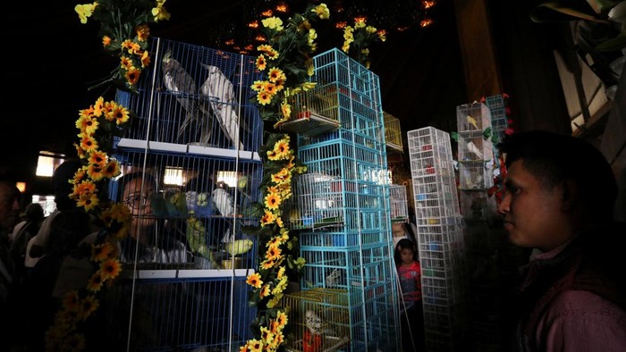 Suasana meriah sekaligus khidmat mewarnai perayaan Minggu Palma di Kota Meksiko, Minggu (29/3/2026). Ratusan penjual burung dari berbagai daerah di Meksiko turut ambil bagian dalam ziarah tahunan menuju Basilika Bunda Maria Guadalupe, menandai dimulainya rangkaian Pekan Suci. REUTERS/Paola Garcia