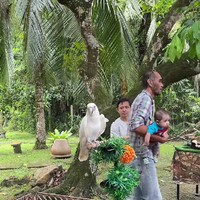 Viral Heboh Kebun Binatang Mini di Pernikahan, Tamu Bisa Foto Bareng Hewan