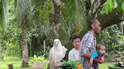 Viral Heboh Kebun Binatang Mini di Pernikahan, Tamu Bisa Foto Bareng Hewan