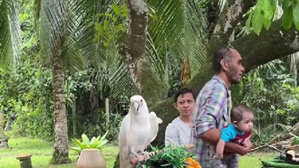 Viral Heboh Kebun Binatang Mini di Pernikahan, Tamu Bisa Foto Bareng Hewan