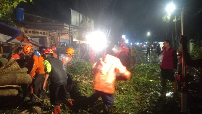 Petugas evakuasi pohon tumbang di Kota Malang