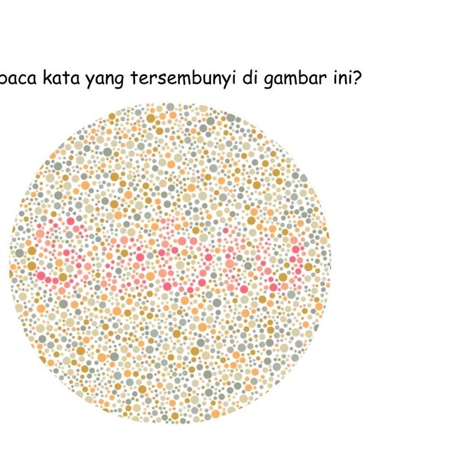 Ketajaman Mata Dibutuhkan, Selesaikan Tes Buta Warna Ini dalam 30 Detik