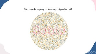 Ketajaman Mata Dibutuhkan, Selesaikan Tes Buta Warna Ini dalam 30 Detik