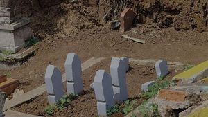 Video Viral Beringin Raksasa Roboh di TPU Malang