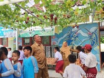 Siswa SDN 2 Ciganjeng Pangandaran Panen Anggur di Garasi Sekolah